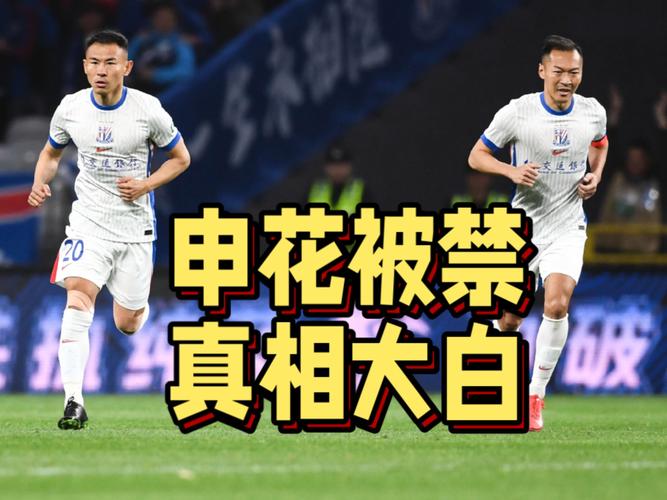 北京时间5月3日下午，上海申花转会禁令解除，迎来重大利好