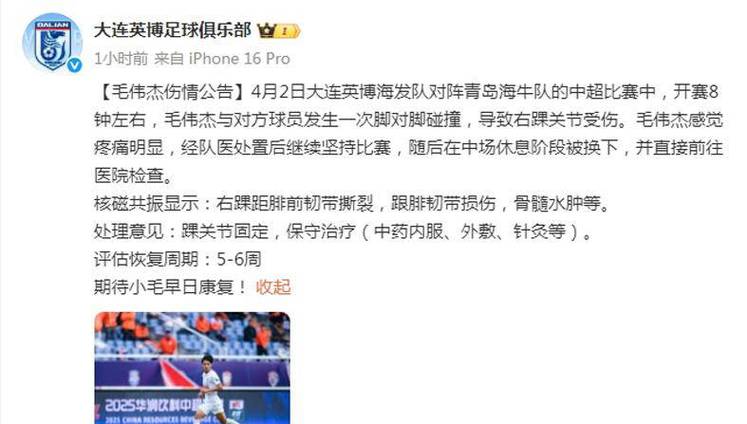 中超大连英博发布球员伤情公告，阿利米等预计伤缺情况