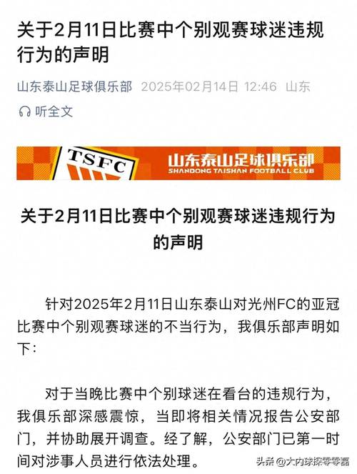 山东泰山客场负云南玉昆后公开致歉 却遭球迷激烈批评