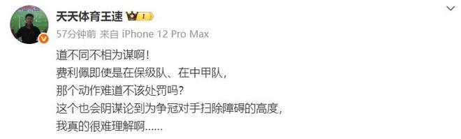 中超争冠争议：成都蓉城外援费利佩骑人动作引热议及后续
