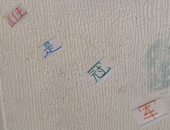 中超11轮后海港与申花差距及两队存在问题分析