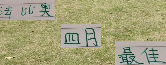 中超第12轮北京国安胜深圳队，塞蒂恩赞林良铭，夺冠尚存希望