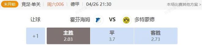 德甲焦点战：霍芬海姆主场迎战多特蒙德，保级与欧战资格之争